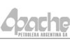 Apache Petrolera Argentina S.A